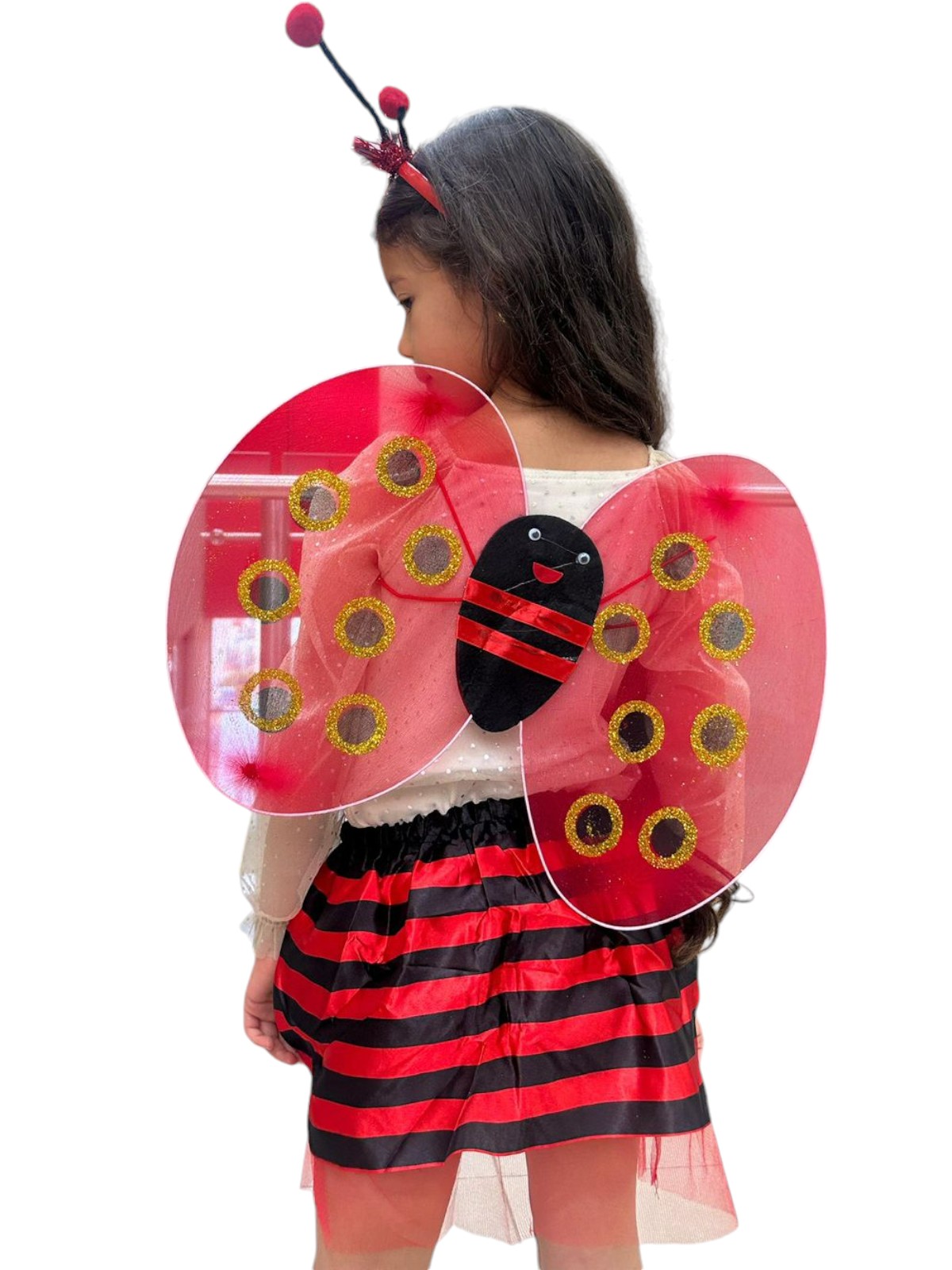 Disfraz de Mariquita ROJO